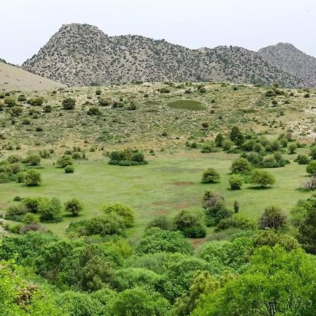 Pensjonat Casa Rural Casa Gonzalo Bélmez de la Moraleda Zewnętrze zdjęcie