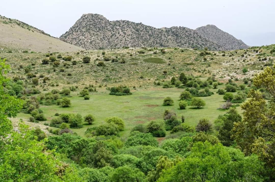 Pensjonat Casa Rural Casa Gonzalo Bélmez de la Moraleda Zewnętrze zdjęcie