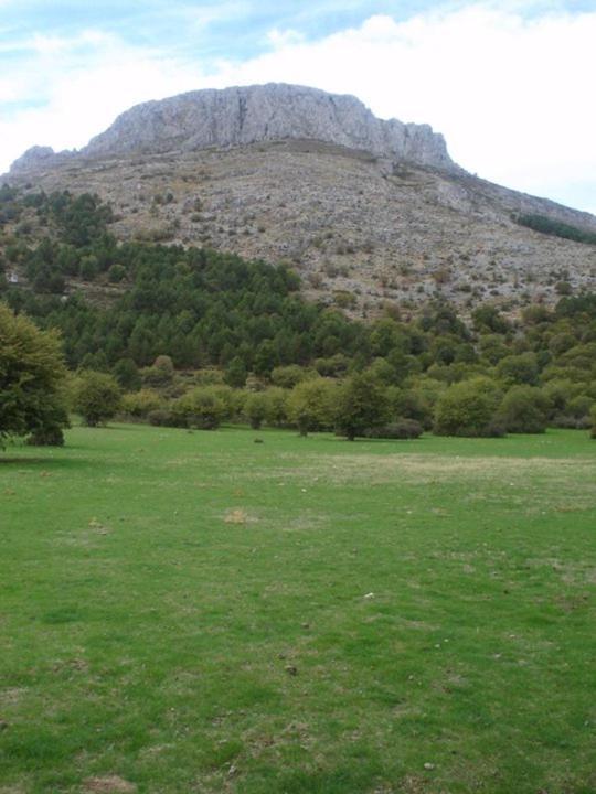 Pensjonat Casa Rural Casa Gonzalo Bélmez de la Moraleda Zewnętrze zdjęcie